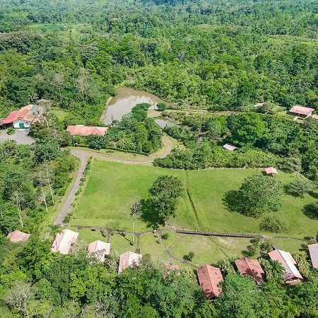 La Anita Rain Forest Colonia Dos Ríos Exteriér fotografie