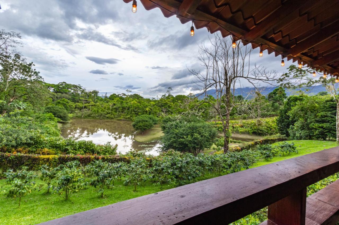 La Anita Rain Forest Colonia Dos Ríos Exteriér fotografie
