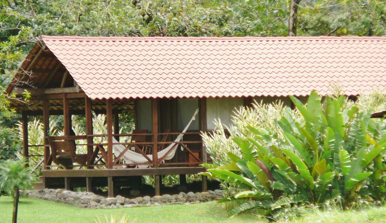 La Anita Rain Forest Colonia Dos Ríos Exteriér fotografie