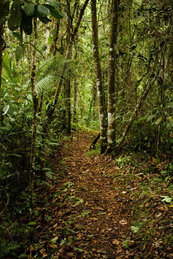 La Anita Rain Forest Colonia Dos Ríos Exteriér fotografie