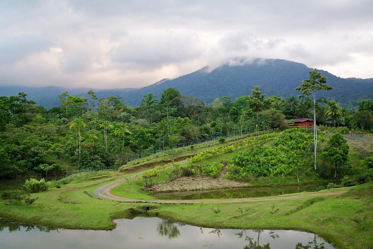 La Anita Rain Forest Colonia Dos Ríos Exteriér fotografie