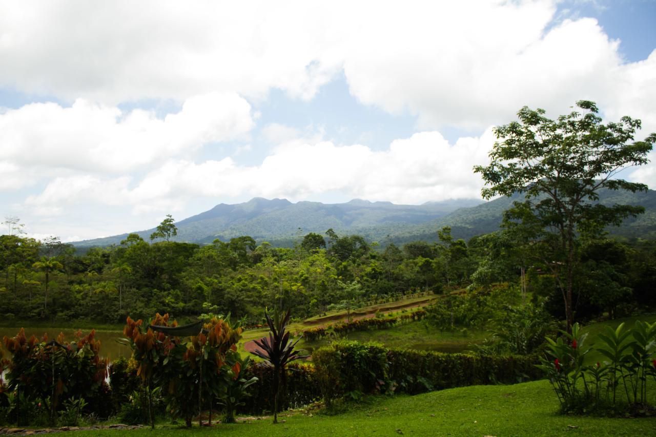 La Anita Rain Forest Colonia Dos Ríos Exteriér fotografie