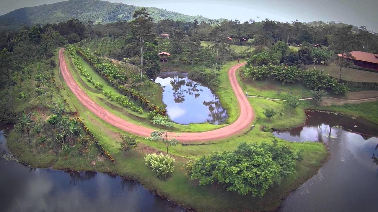 La Anita Rain Forest Colonia Dos Ríos Exteriér fotografie