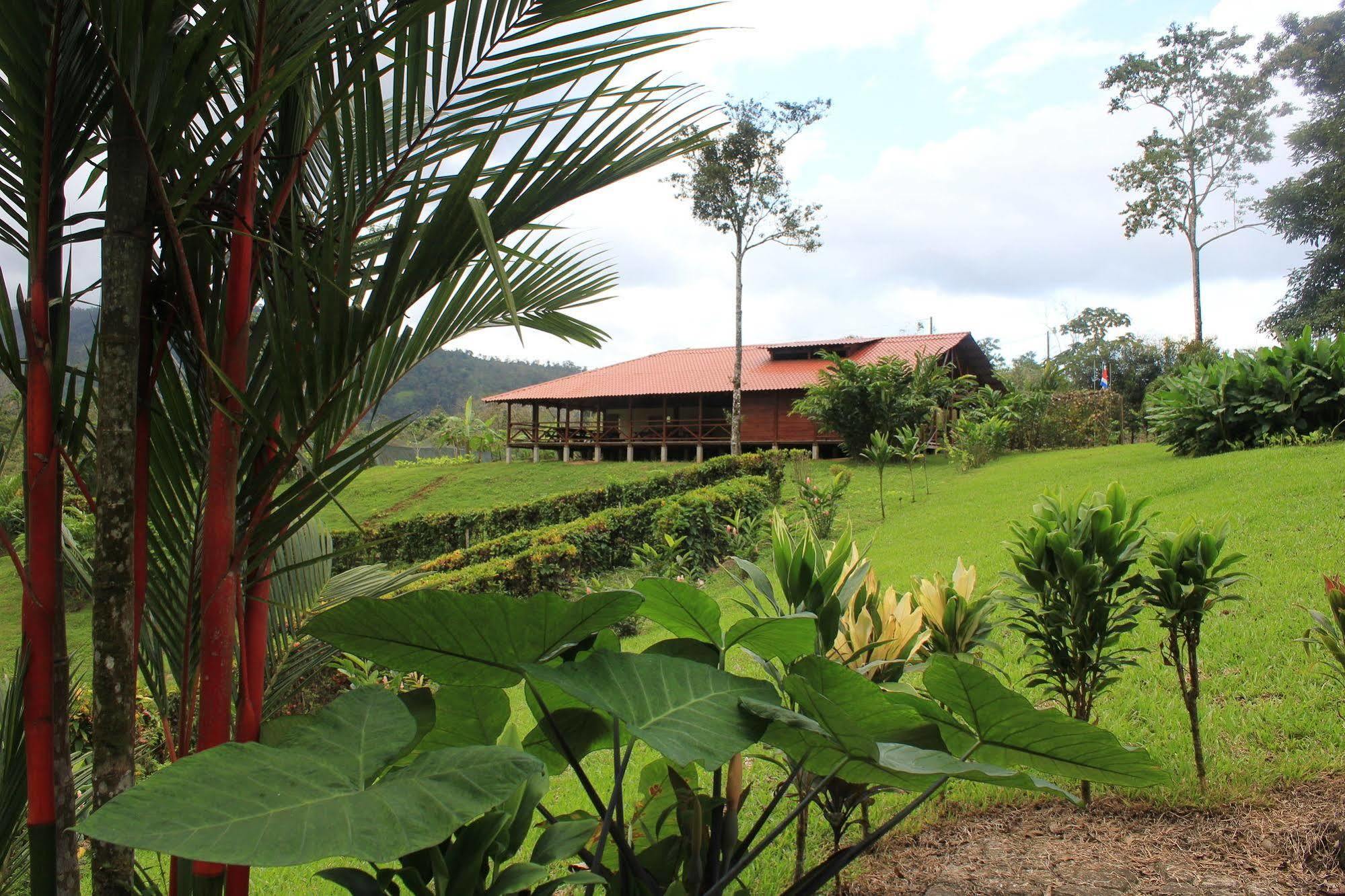 La Anita Rain Forest Colonia Dos Ríos Exteriér fotografie