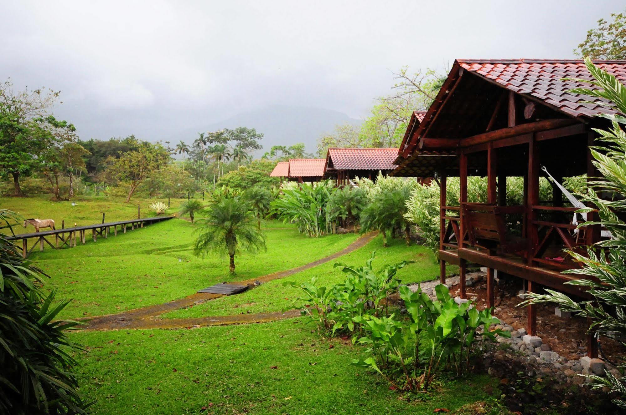 La Anita Rain Forest Colonia Dos Ríos Exteriér fotografie