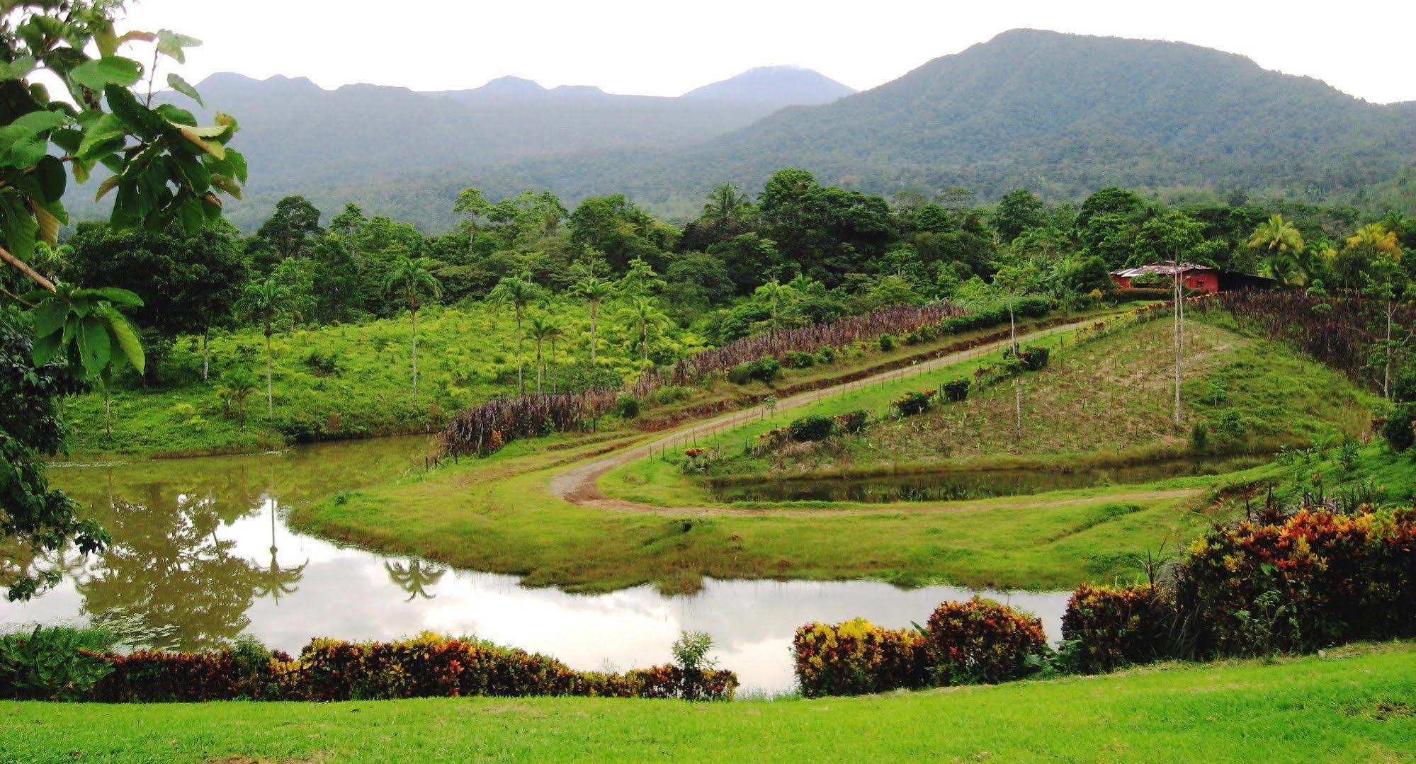 La Anita Rain Forest Colonia Dos Ríos Exteriér fotografie