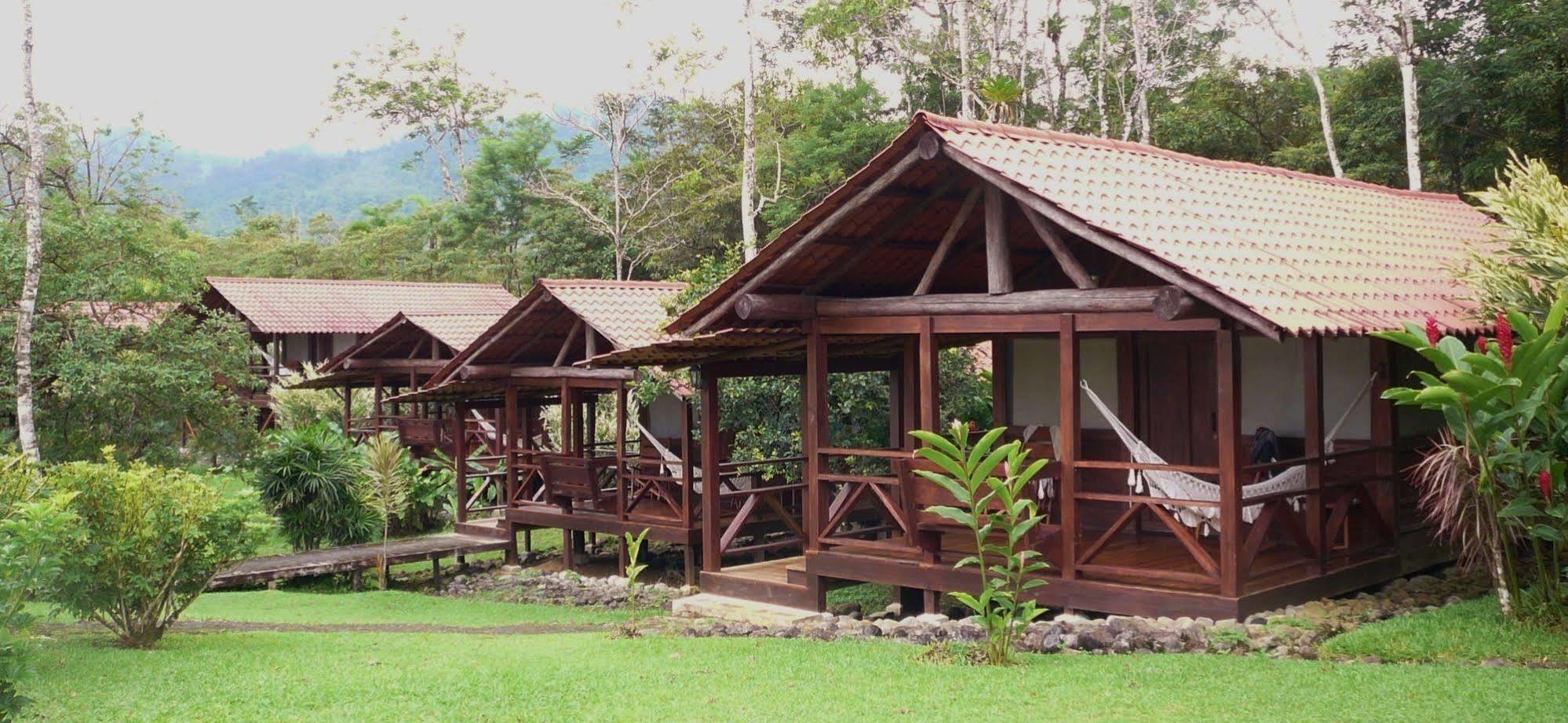 La Anita Rain Forest Colonia Dos Ríos Exteriér fotografie